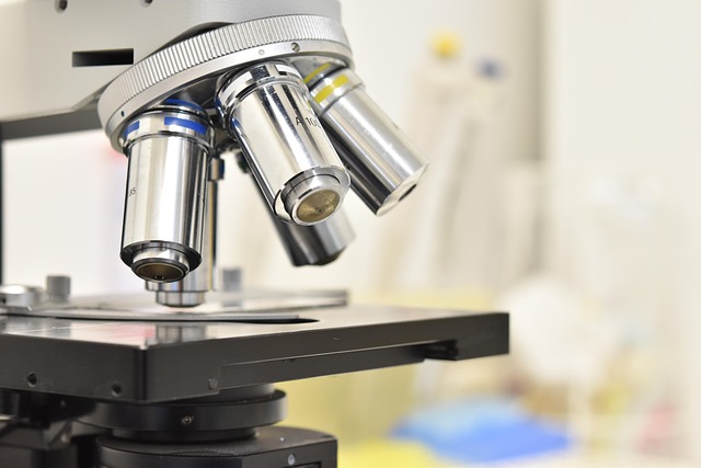 评价聚氨酯泡沫表皮增厚剂对冷链物流车厢隔热层表面密实程度及防潮性的提升